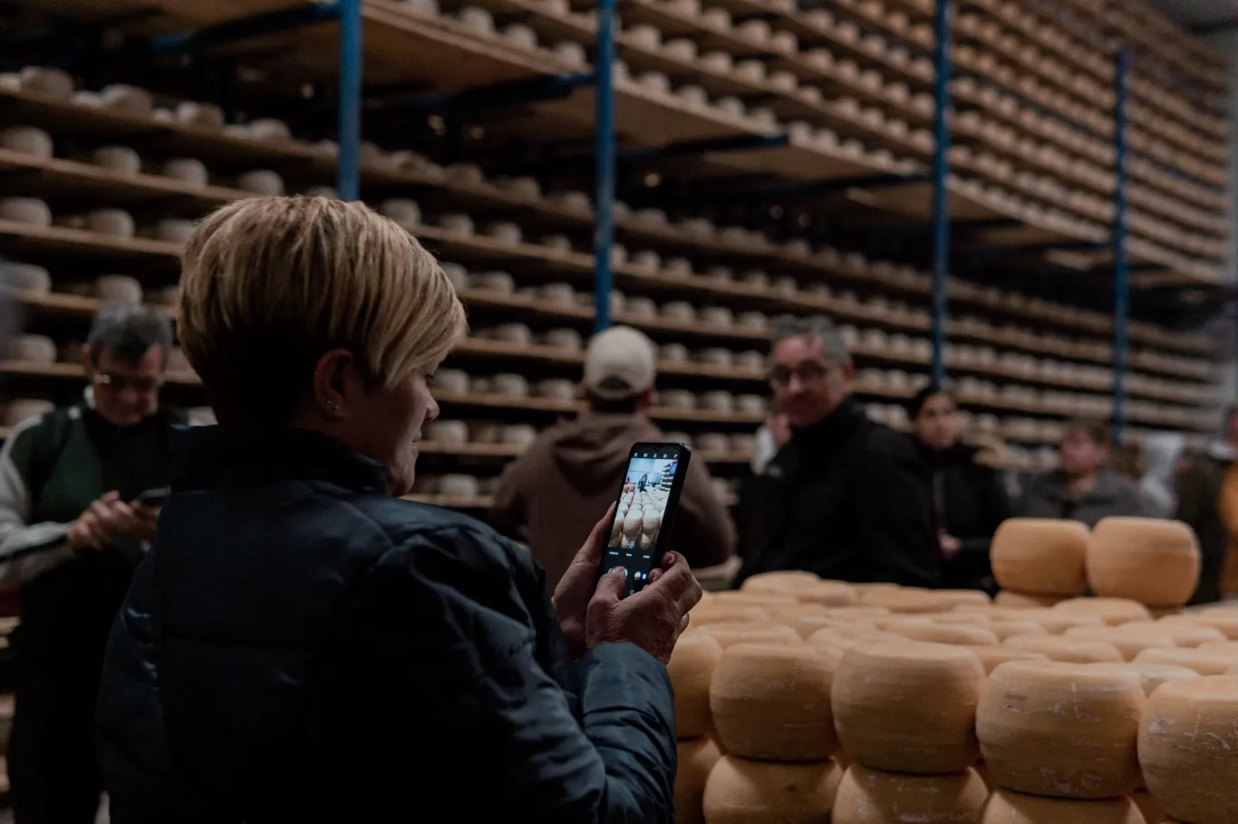 Ruta del Queso – Los Toldos