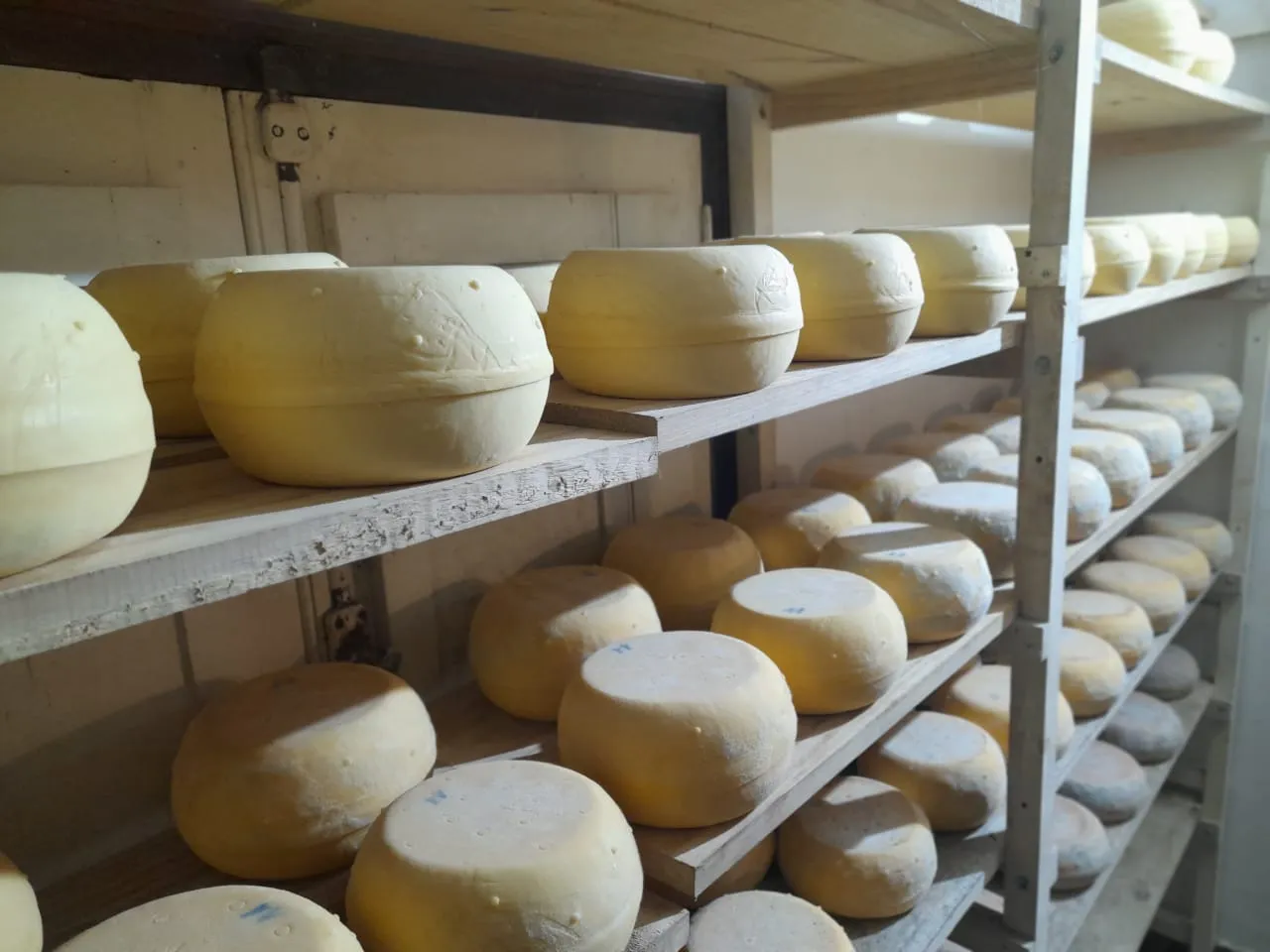 Ruta del Queso artesanal