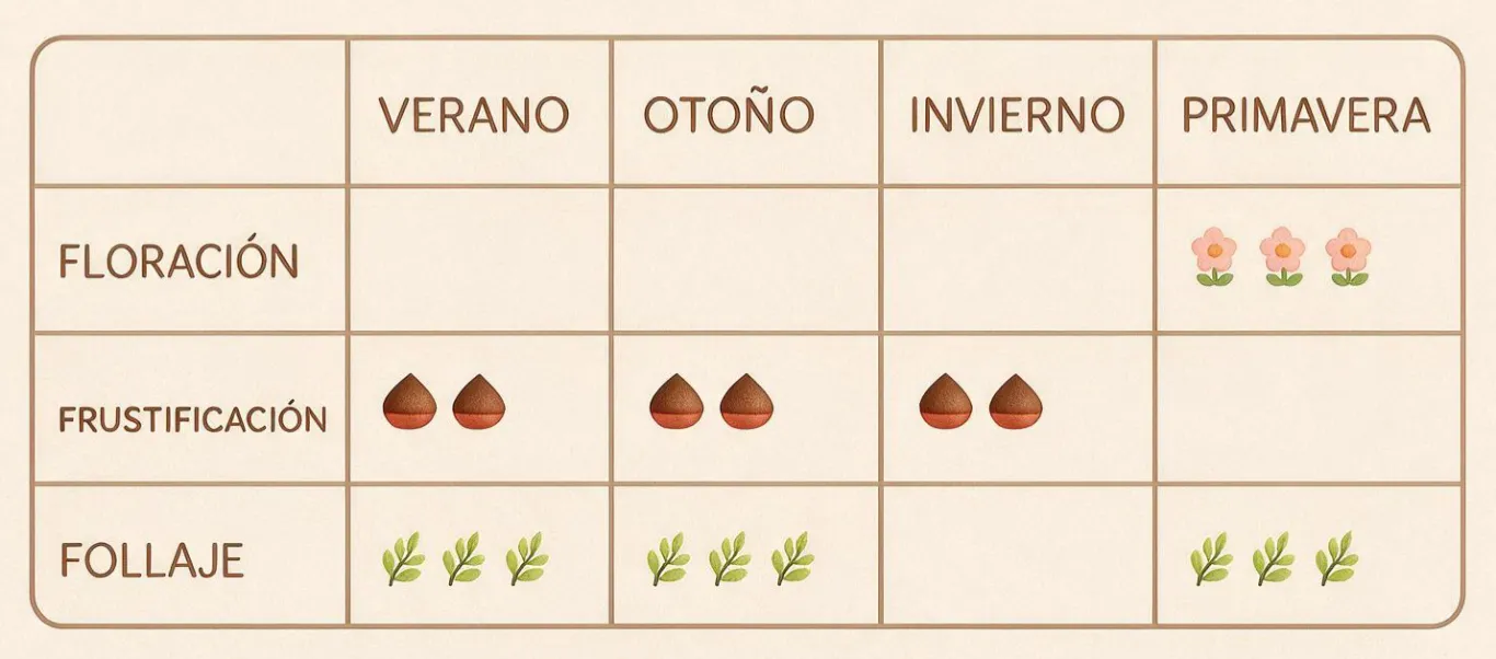 ¿Cuándo doy flores y semillas?