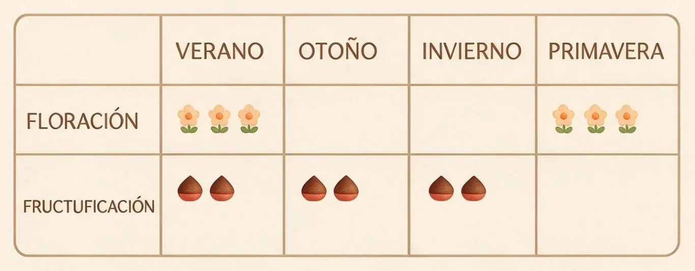 ¿Cuándo doy flores y semillas?